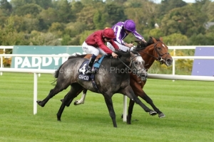 15 September 2018;   ROARING LION and Oisin Murphy, nearside, come late to defy Saxon Warrior, Ryan Moore up, in The Qipco Irish Champion Stakes at Leopardstown.      © Peter Mooney, 59 Upper George's Street, Dun Laoghaire, Co. Dublin, Ireland.    Tel:  00 353 (0)86 2589298