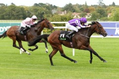 15 September 2018;   I CAN FLY and Ryan Moore prove too strong for stable companion, Kenya, Seamie Heffernan up, in The Clipper Logistics Boomerang Stakes at Leopardstown.      © Peter Mooney, 59 Upper George's Street, Dun Laoghaire, Co. Dublin, Ireland.    Tel:  00 353 (0)86 2589298