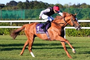 Kyprios 160525PML0554.jpg