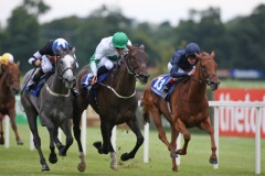 Clodova PML 0096575.JPG