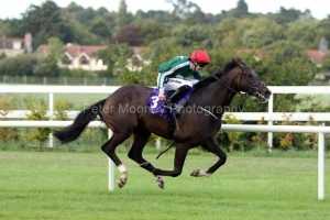 16 August 2018;  PINCHECK, Colm O'Donoghue up, winning The Invesco Pension Consultants Desmond Stakes at Leopardstown.      © Peter Mooney, 59 Upper George's Street, Dun Laoghaire, Co. Dublin, Ireland.    Tel:  00 353 (0)86 2589298