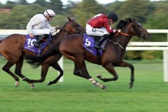 16 August 2018;   DANCE EMPEROR, Colm O'Donoghue up, winning The Bulmers Live At Leopardstown Handicap at Leopardstown.      © Peter Mooney, 59 Upper George's Street, Dun Laoghaire, Co. Dublin, Ireland.    Tel:  00 353 (0)86 2589298