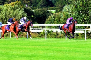 16 July 2020;  Delphi, ridden by Wayne Lordan winning The Nijinsky Stakes at Leopardstown.© Peter Mooney, 59 Upper George's Street, Dun Laoghaire, Co. Dublin, A96 H2R3, Ireland  Tel: 00 353 (0)86 2589298