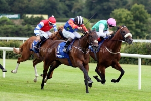 Snellen 170725PML0613.jpg