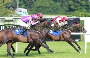 initial-170714pml0407