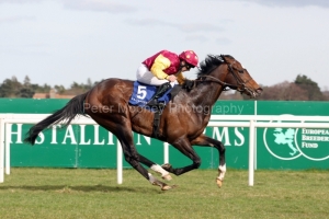 Noll Wallop PML 00114354.JPG Noll Wallop PML 00114354.JPG