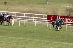 Hazarafa PML 00114216.JPG