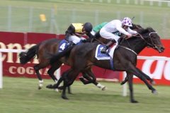 Book Of Numbers PML 00116176.JPG