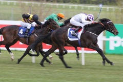 Book Of Numbers PML 00116183.JPG