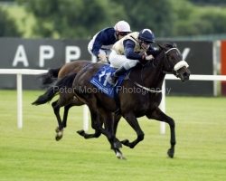 Maryellen's Spirit PML 0043621