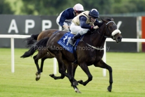 Maryellen's Spirit PML 0043621 Maryellen's Spirit PML 0043621