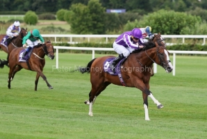 Diego Velazquez 180724PML0420.jpg