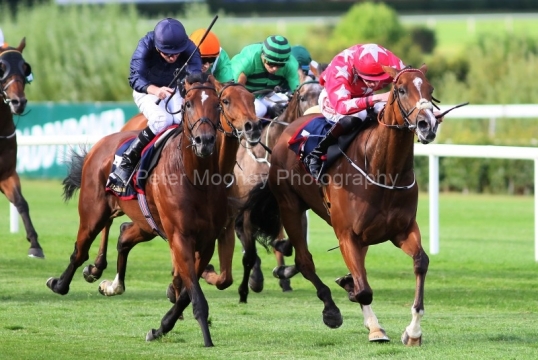 Longbourn 180724PML0452.jpg
