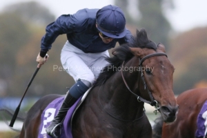 Christmas Day 181025PML0521.jpg