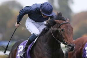 Christmas Day 181025PML0521.jpg