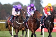 King Cuan 181026PML5121.jpg