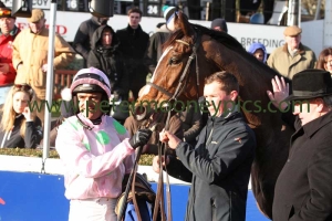 vautour-180115pml0667 vautour-180115pml0667
