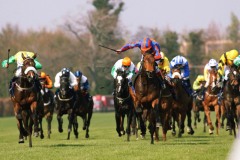 Carlito Brigante PML 0088457.JPG