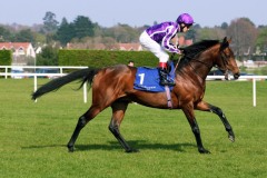 Fame And Glory PML 0088534.JPG