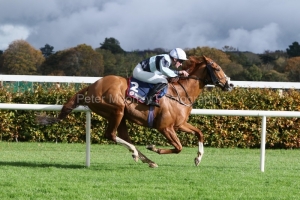 Norwalk Havoc 191025PML0734.jpg