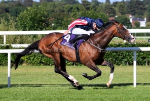 Chicago Fireball 200624PML0763.jpg