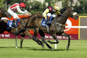 King Jock PML0018976.jpg King Jock PML0018976.jpg