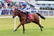 Highwayman 200826PML1668.jpg