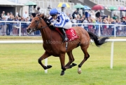 Highwayman 200826PML1670.jpg
