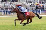 Highwayman 200826PML1675.jpg