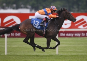 Mystical Lady PML 0068994.JPG