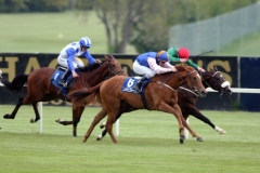 Heart Of Fire PML 0068939.JPG