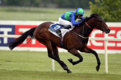 My Girl Sophie PML 0068960.JPG