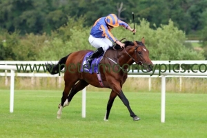 churchill-210716pml0659 churchill-210716pml0659