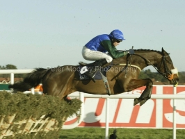 Macs Joy PM00314130.jpg