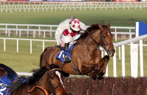 Anothercoppercoast PML 00108052.JPG