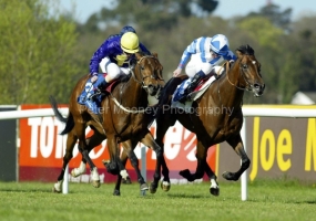 Rhythm'n Roots PMOO338842.jpg