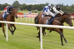 Bobbyscot PML 0096924.JPG