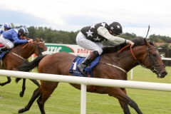 Bobbyscot PML 0096928.JPG