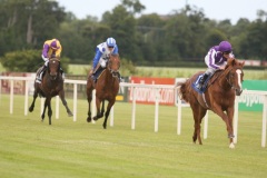 Cape Blanco PML 0096935.JPG