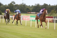 Cape Blanco PML 0096938.JPG