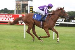 Cape Blanco PML 0096942.JPG