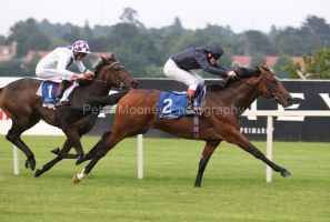 Rip Van Winkle PML 0071233JPG