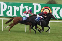 Gluteus Maximus PML 0071168.JPG