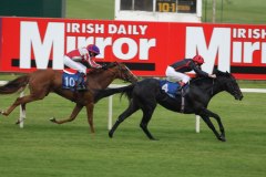 Gluteus Maximus PML 0071178.JPG