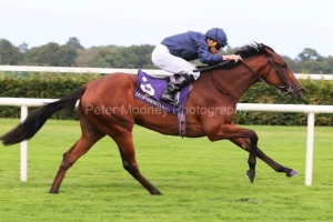 Composing 240725PML1499.jpg