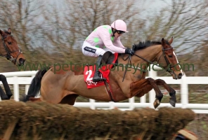 faugheen-240116pml0506