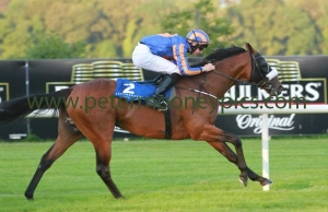 annus-mirabilis-240714pml0495