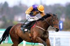 Brave Inca PML 0084234.JPG