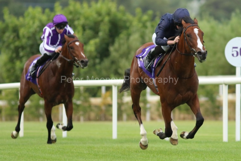 25 July 2019;   ARMORY and Ryan Moore run out convincing victors over stable companion, Toronto, Donnacha O'Brien up, in The Japan Racing Association Tyros Stakes at Leopardstown.      © Peter Mooney, 59 Upper George's Street, Dun Laoghaire, Co. Dublin, Ireland.    Tel:  00 353 (0)86 2589298