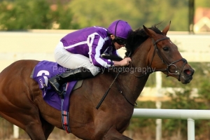 25 July 2019;   SOUTH SEA PEARL, Ryan Moore up, winning The Kingdom Of Bahrain Vinnie Roe Stakes at Leopardstown.      © Peter Mooney, 59 Upper George's Street, Dun Laoghaire, Co. Dublin, Ireland.    Tel:  00 353 (0)86 2589298